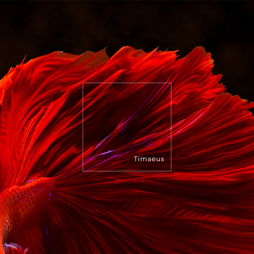 王霞的胸和奶头都凸出来了
